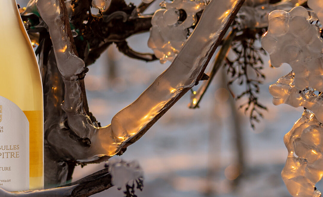 L&rsquo;Abbaye s&rsquo;illumine pour célébrer Noël