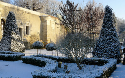 Il a neigé dans l’aube rose